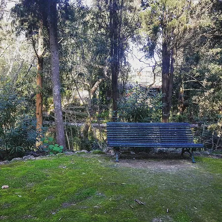 Rodini House